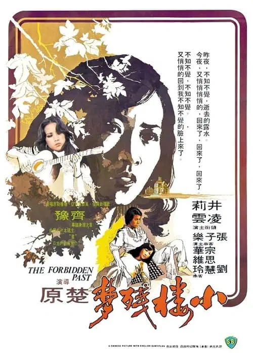 The Forbidden Past movie poster