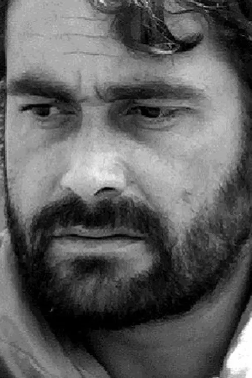 Maurício do Valle profile picture
