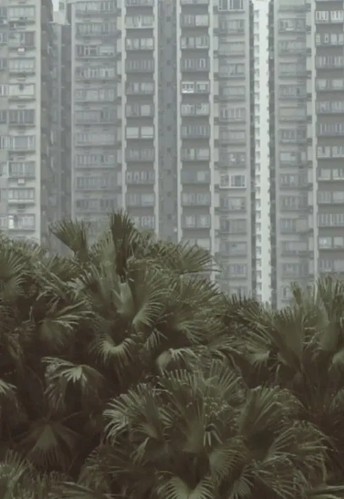 Poster do filme South Horizons