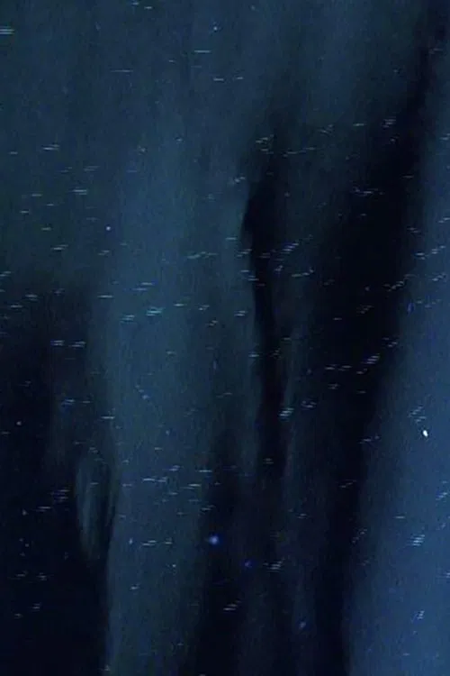 The Seasons movie poster