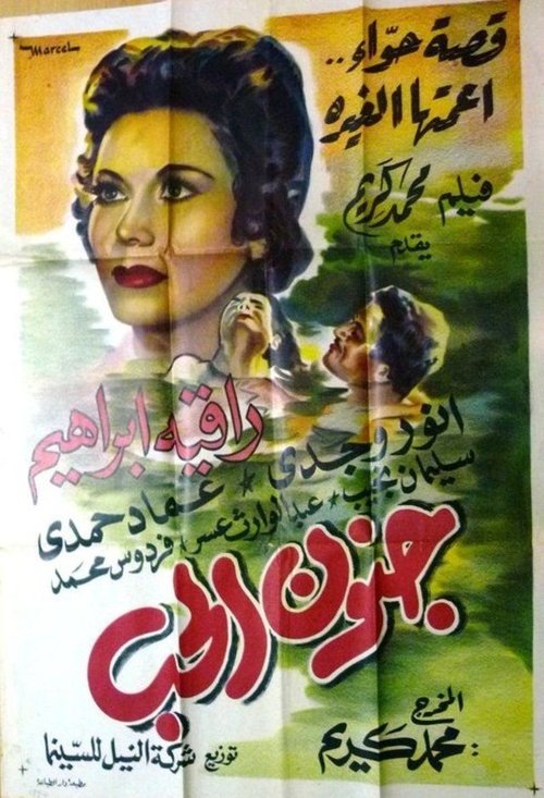 The Madness Of Love movie poster