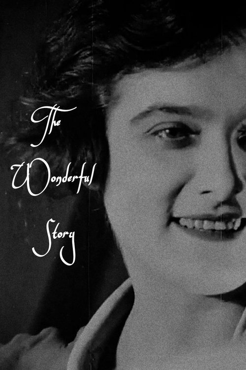 The Wonderful Story movie poster