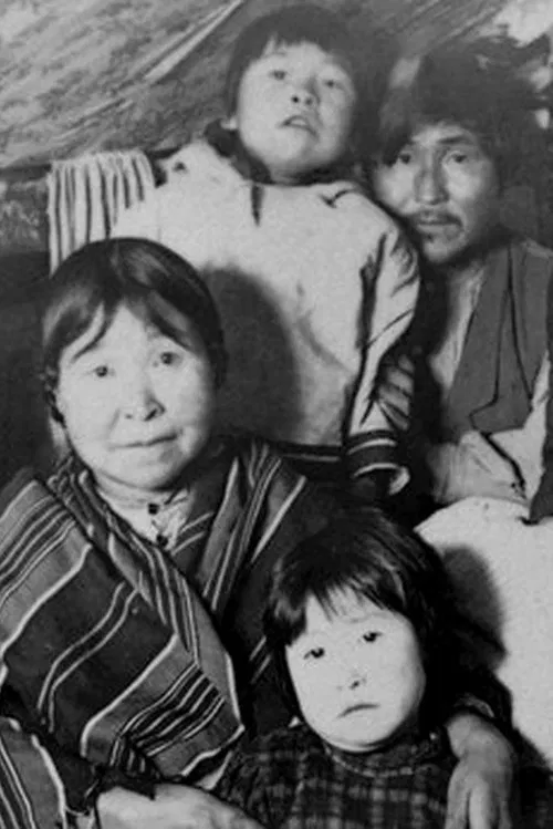 Labrador North movie poster