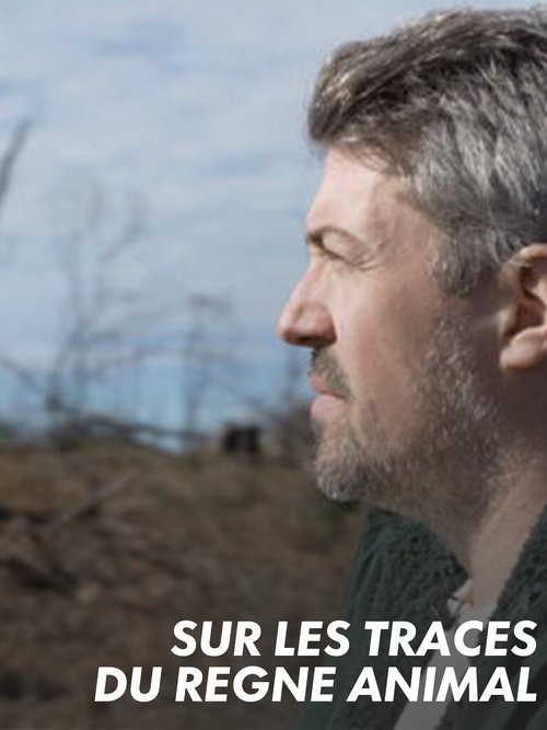 Sur les traces du règne animal movie poster