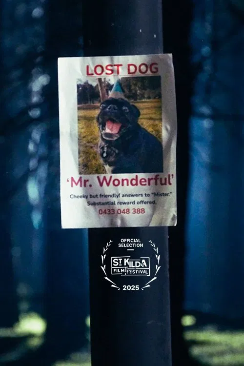 Mr. Wonderful movie poster