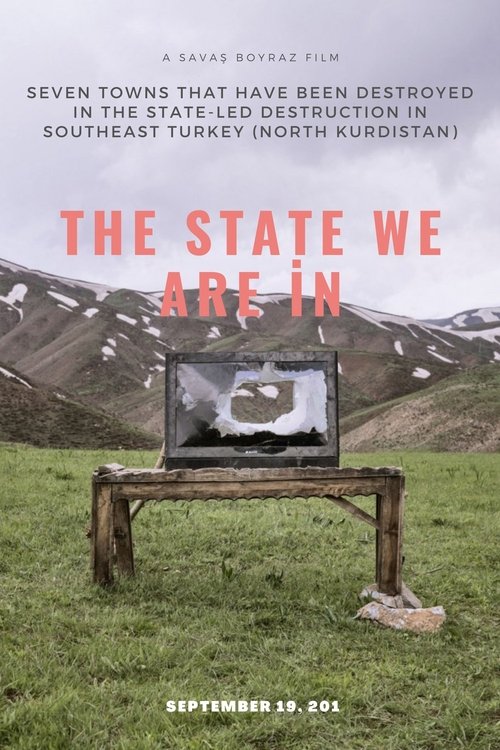 The State We Are İn movie poster