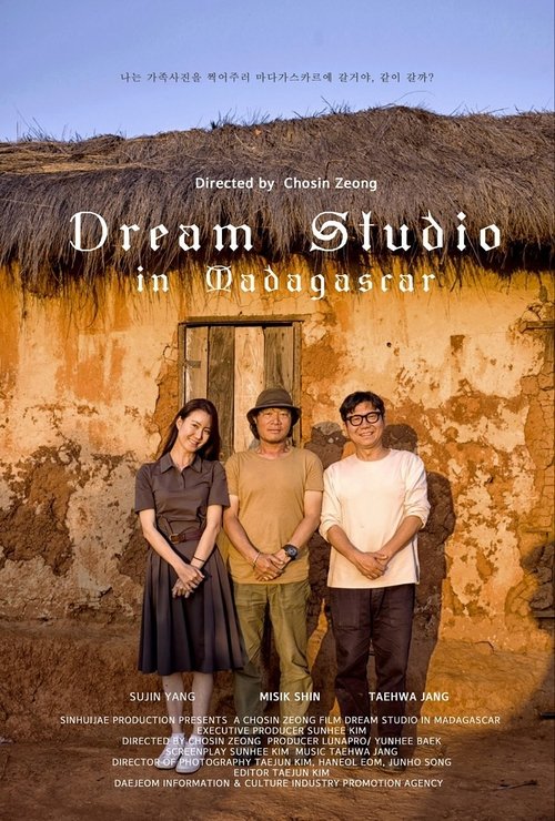 Dream Studio in Madagascar movie poster