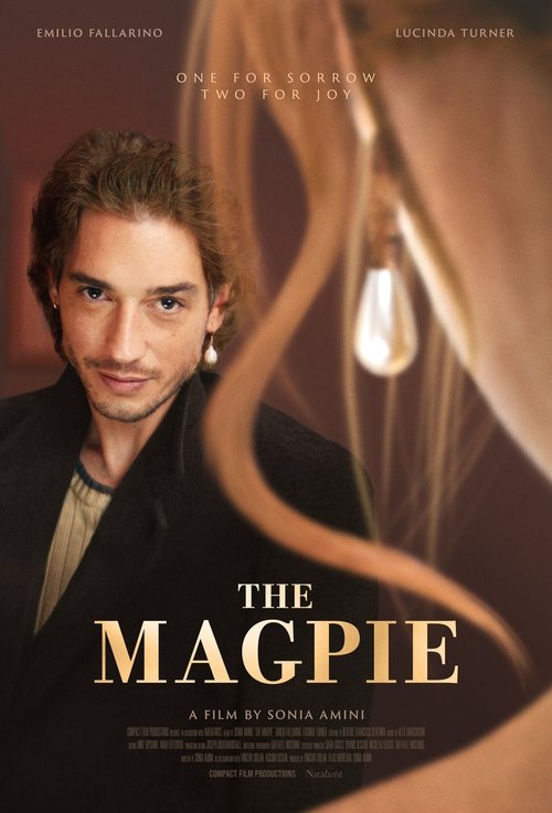 The Magpie movie poster