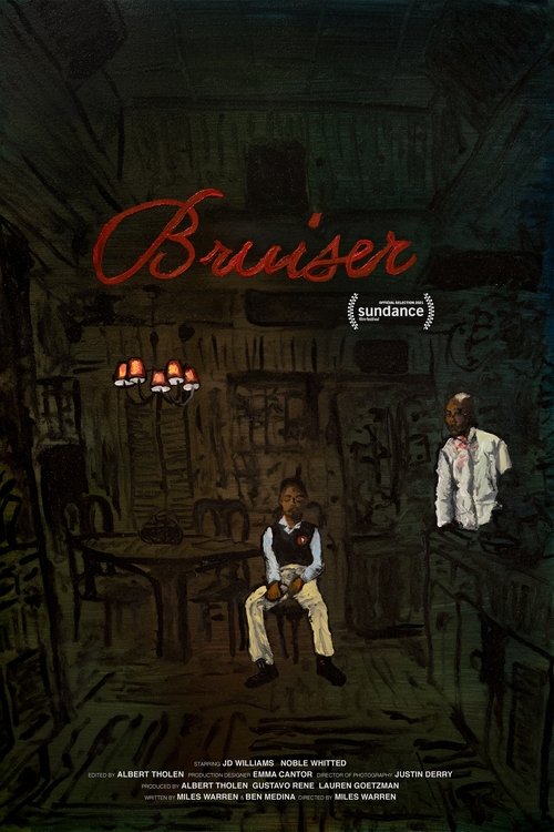 Poster do filme Bruiser