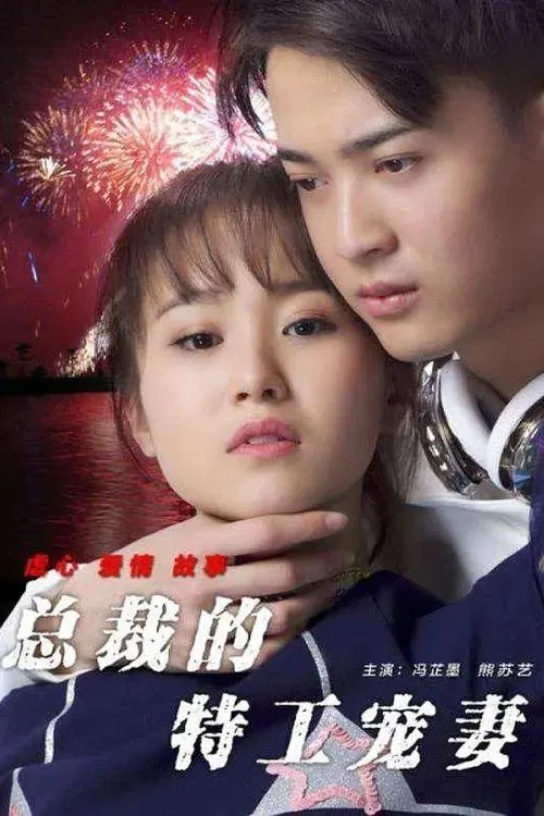 Poster do filme 总裁的特工宠妻