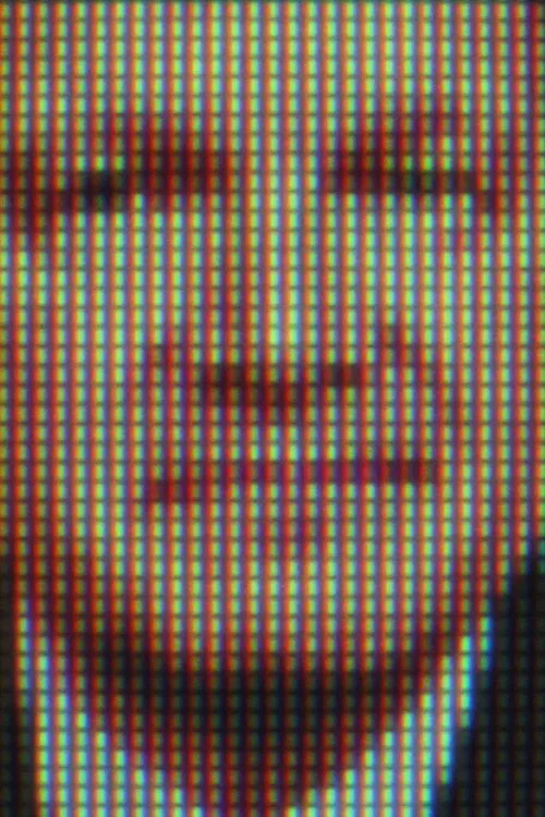 Frank Lawler profile picture