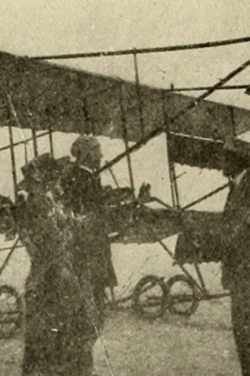 Flying to Fortune movie poster