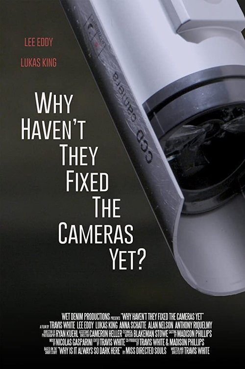 Why Haven't They Fixed the Cameras Yet? movie poster