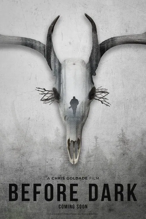 Poster do filme Before Dark