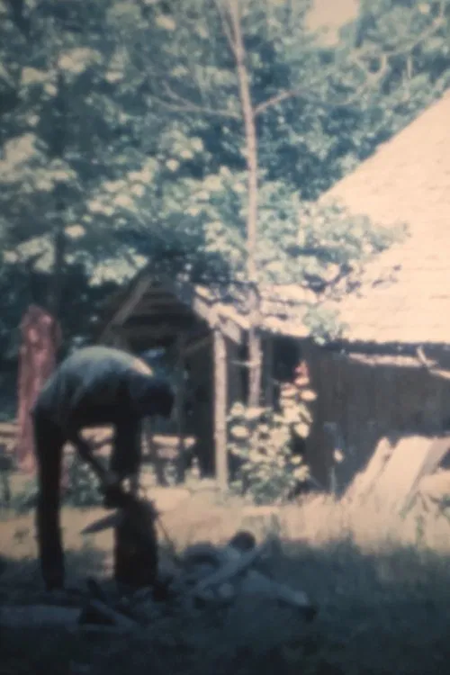 Vocation movie poster