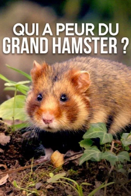 Qui a peur du grand hamster ? movie poster
