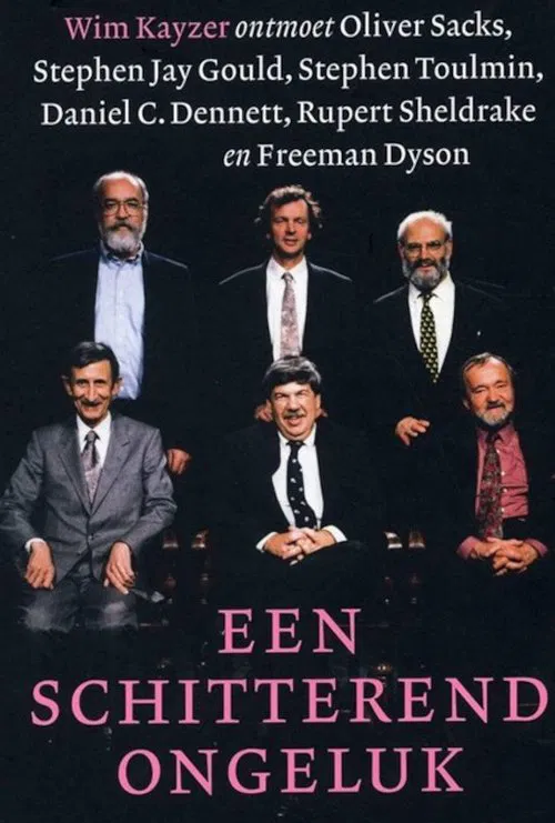 Poster da série een schitterend ongeluk