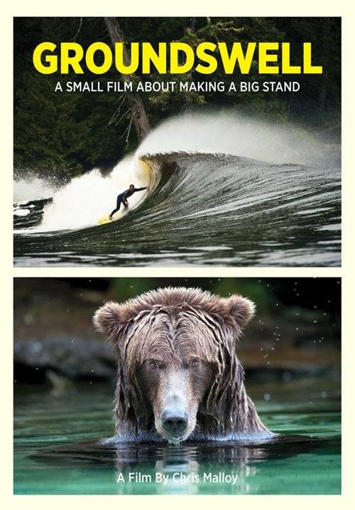 Groundswell movie poster