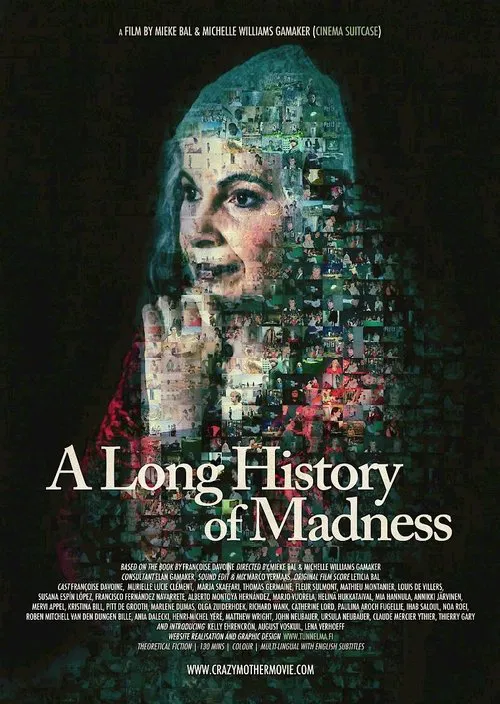 A Long History of Madness movie poster