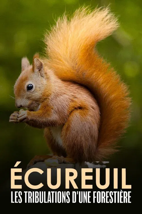 Écureuil : Les Tribulations d'une forestière movie poster