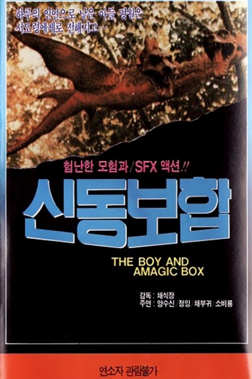 The Boy and a Magic Box movie poster