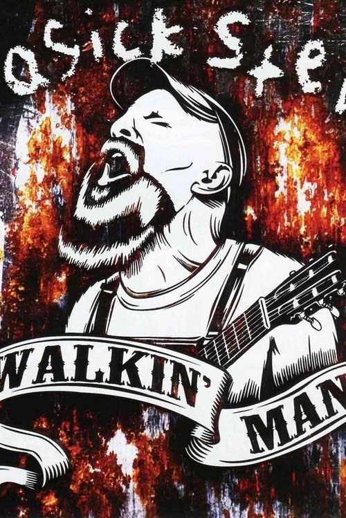 Seasick Steve: Live at Brixton O2 Academy movie poster