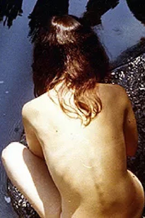 Poster do filme False Pretenses