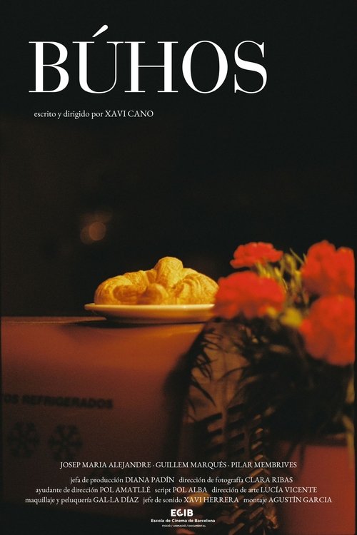 Poster do filme Búhos