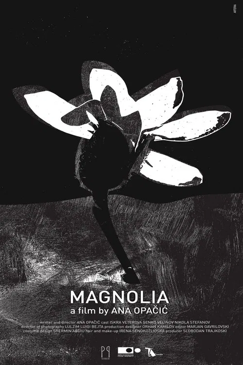 Poster do filme Magnolia