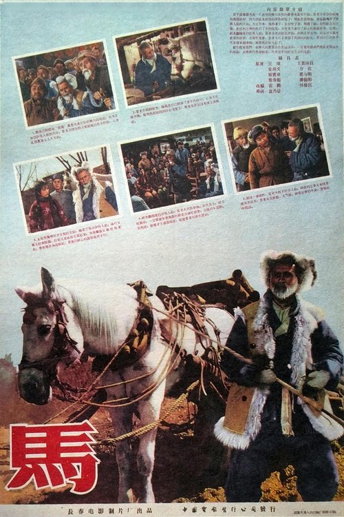 马 movie poster