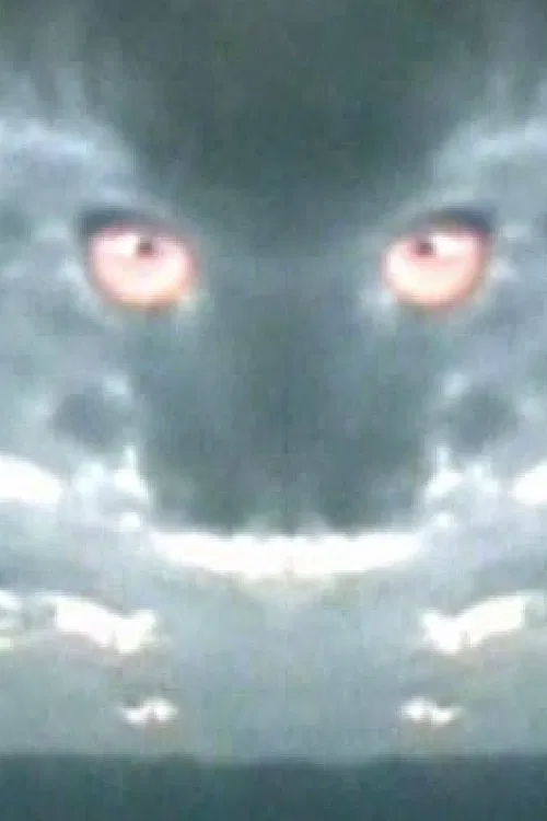 Haiku 2: Paper Dragon movie poster