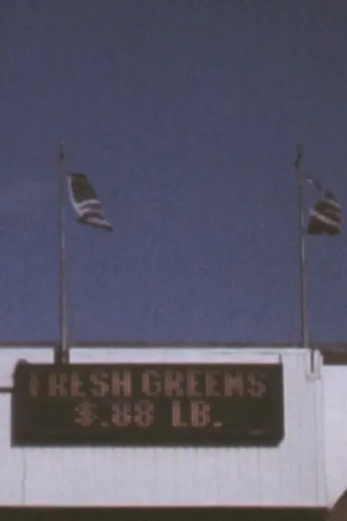 Poster do filme 3 Flags