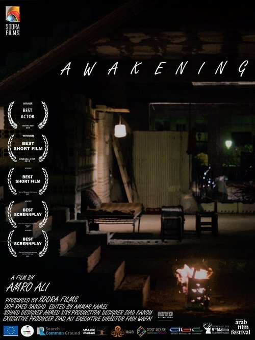 Awakening movie poster