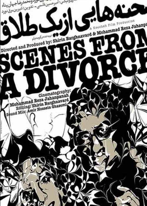 Scenes From a Divorce movie poster