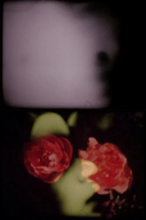 The Person of Whom I Think movie poster