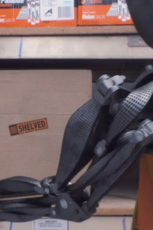 Shelved movie poster