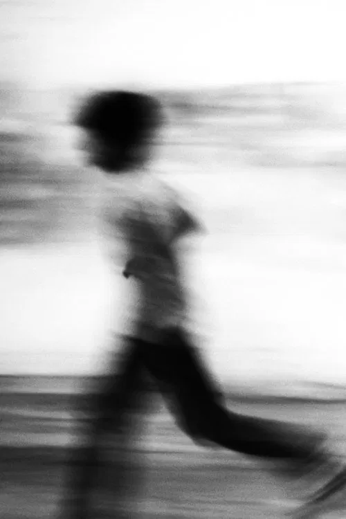 Seagull dog child movie poster