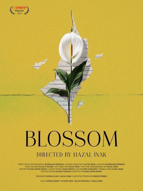 Blossom movie poster
