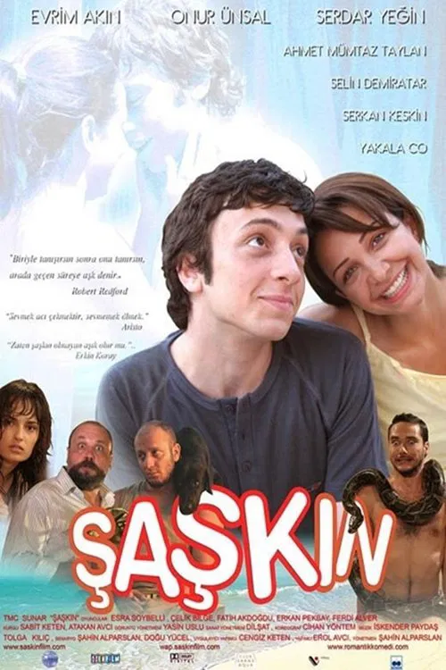 The Silly movie poster