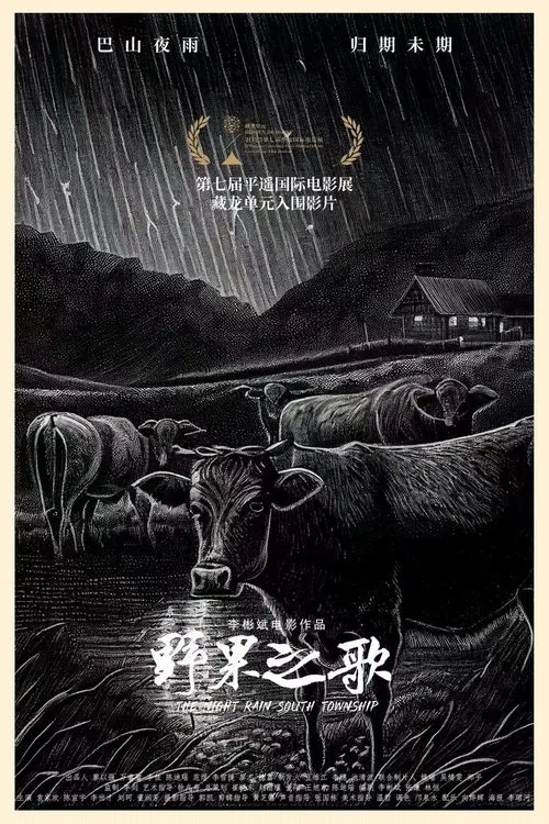Poster do filme The Night Rain South Township