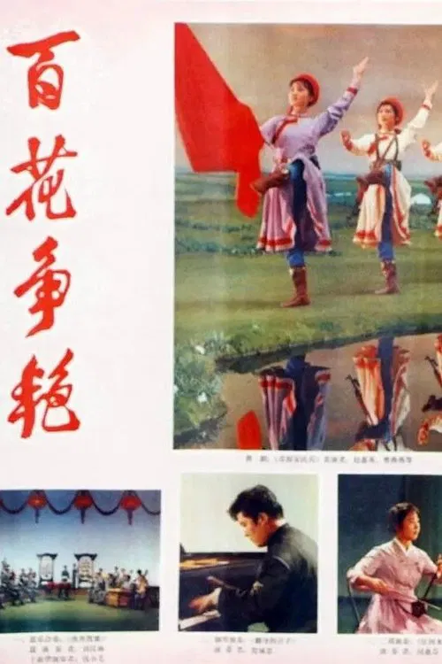 Bai hua zheng yan movie poster