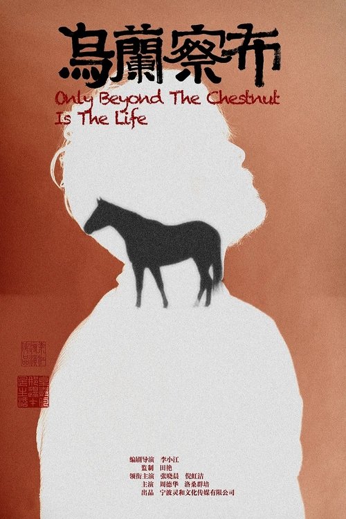 乌兰察布 movie poster