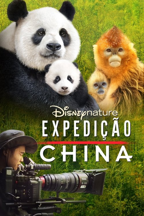 Poster do filme Expedição China
