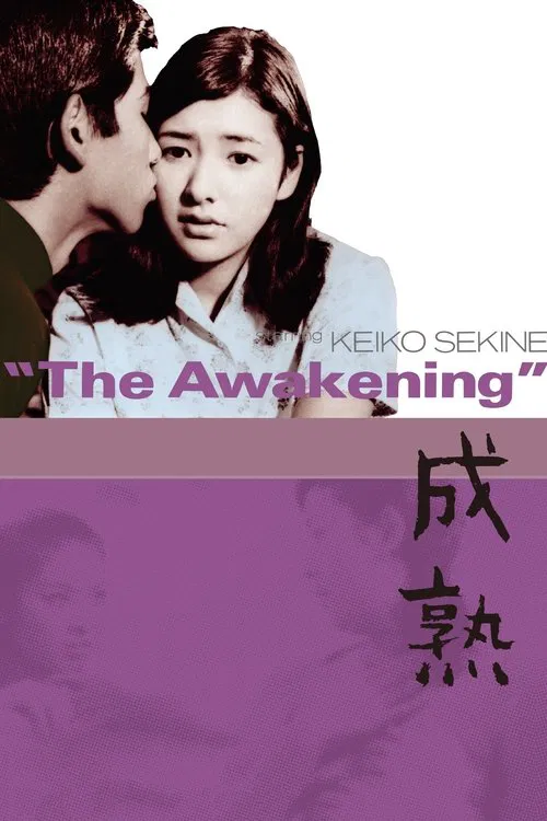 Poster do filme The Awakening