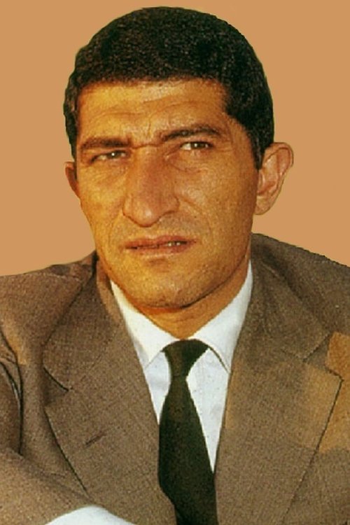 Nicola Arigliano profile picture