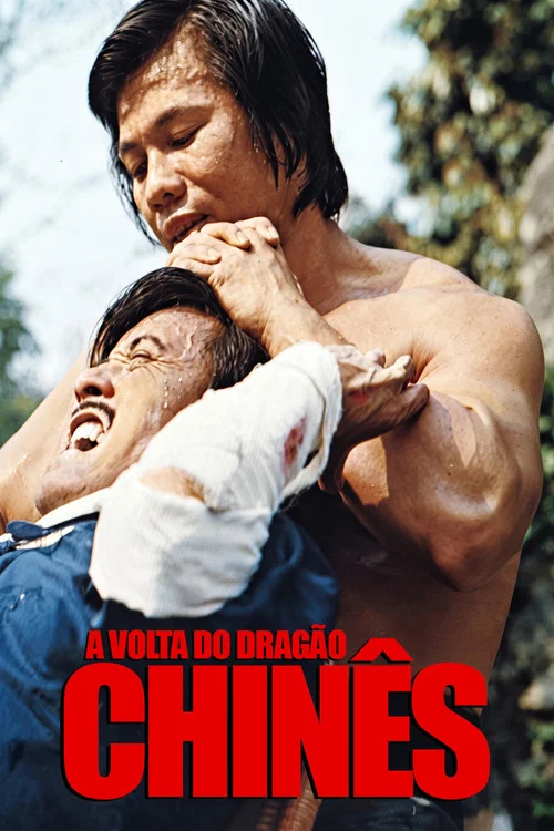 Poster do filme A Volta do Dragão Chinês