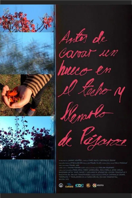 Before cutting a hole in the sky and filling it with birds movie poster