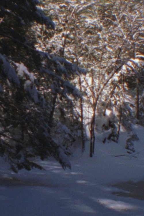 Winter Beyond Winter movie poster