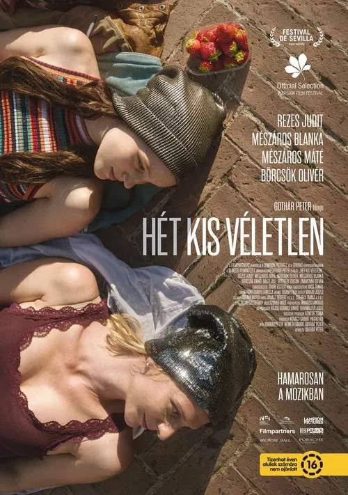 Small Coincidences movie poster