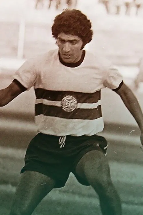 Walter Ferraz de Negreiros profile picture